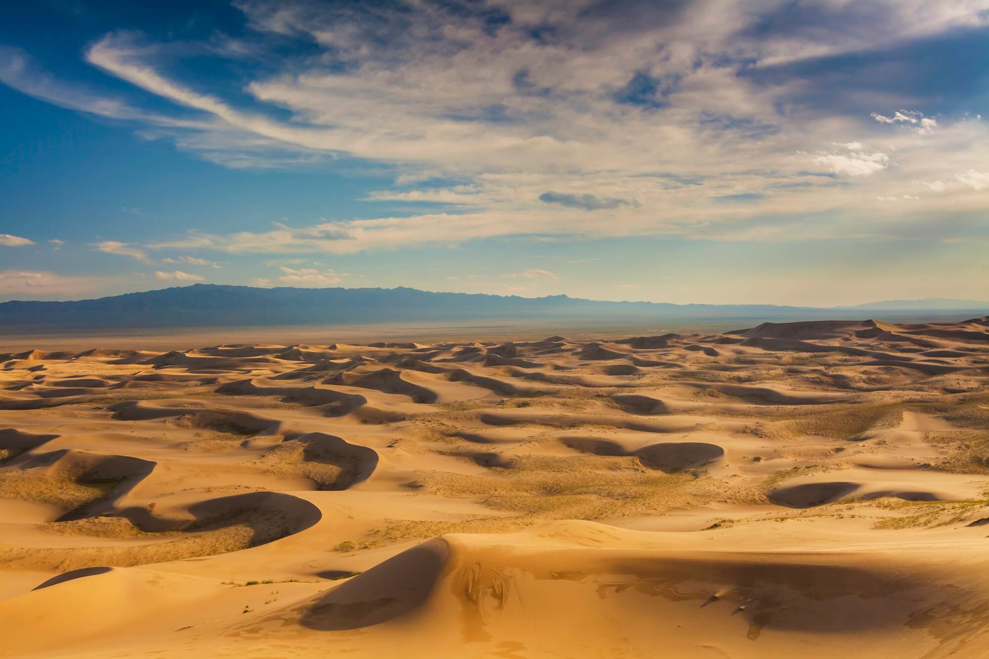 Gobi Desert Facts