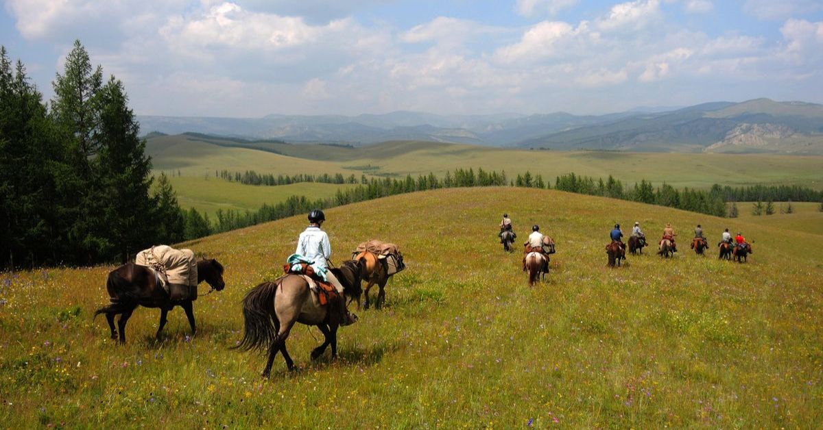 Terelj horse trekking