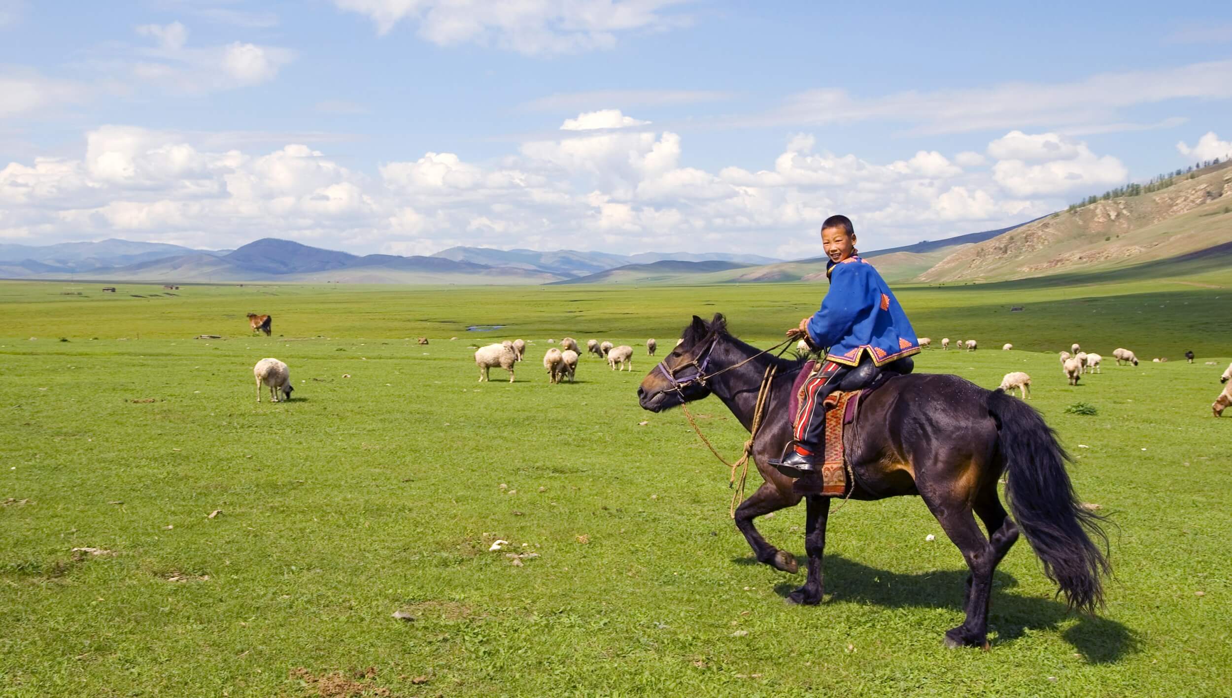 Mongolian horse with child