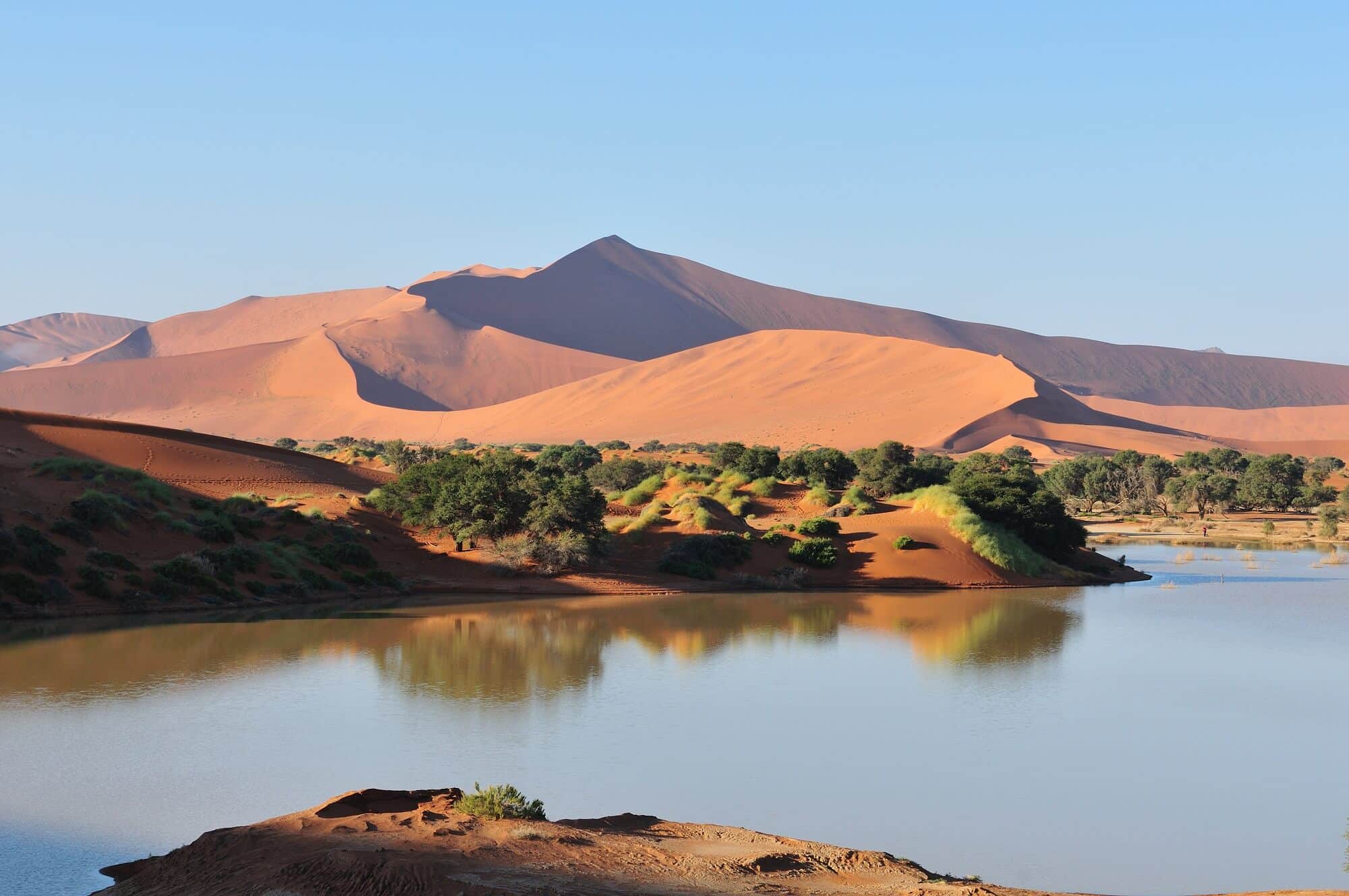 Mongolian gobi desert