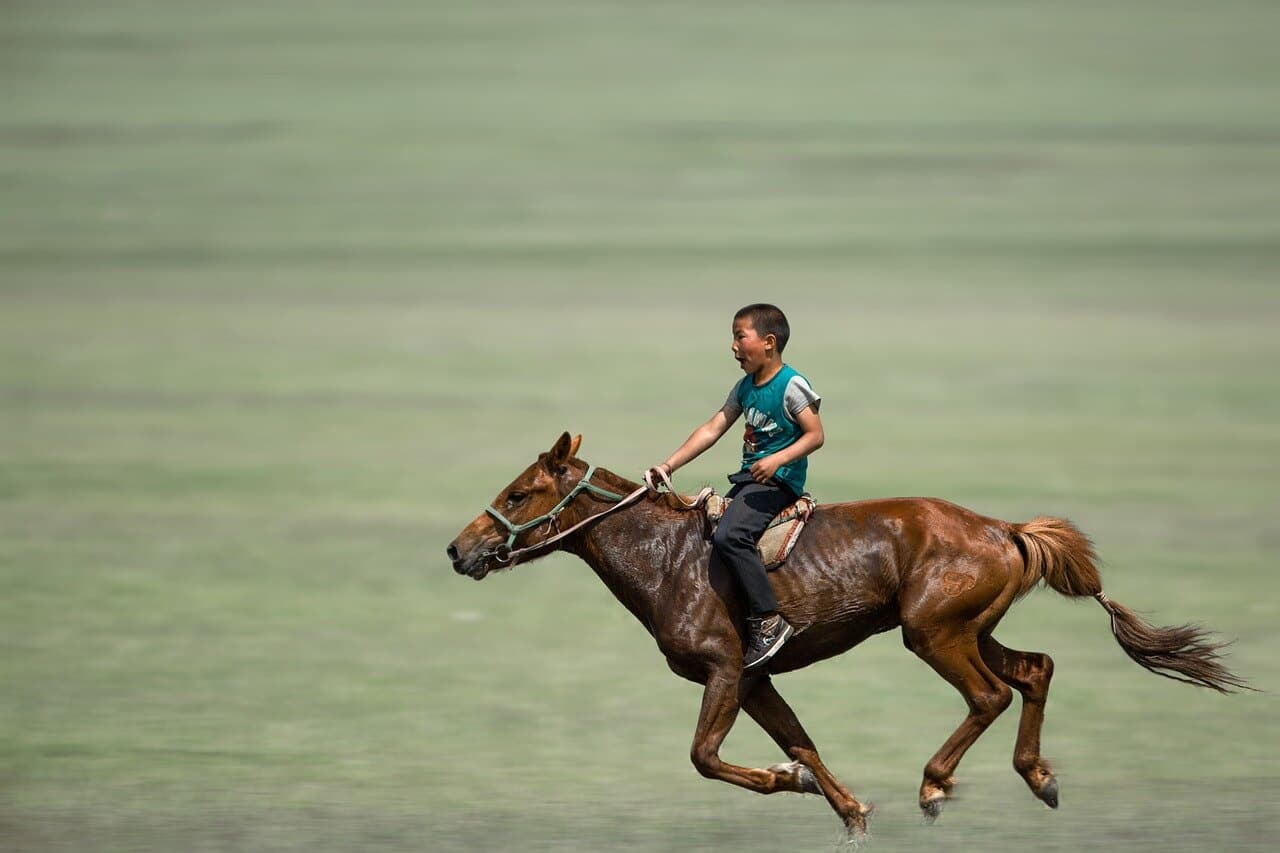 naadam horse raceing