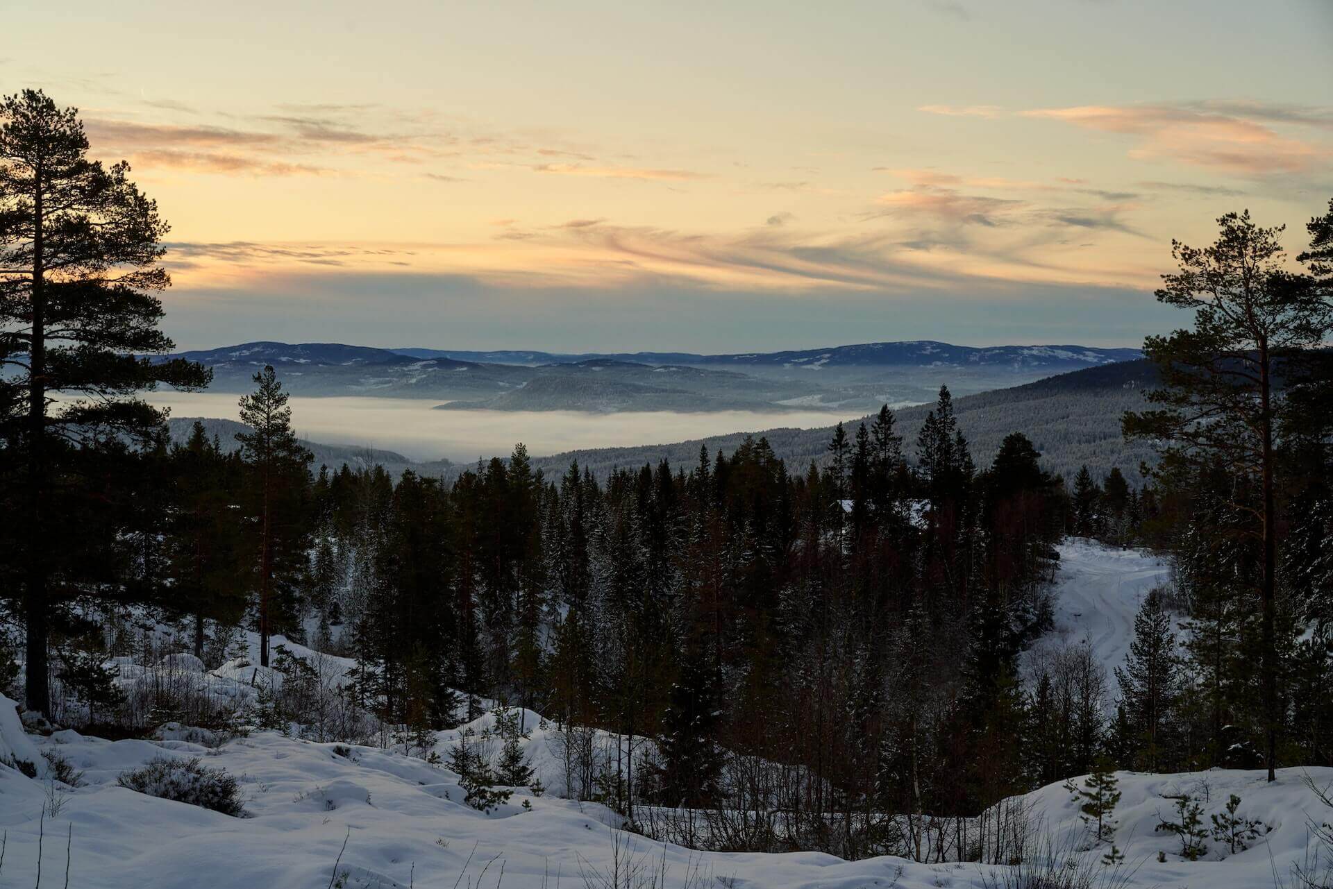 mongolian nature winter