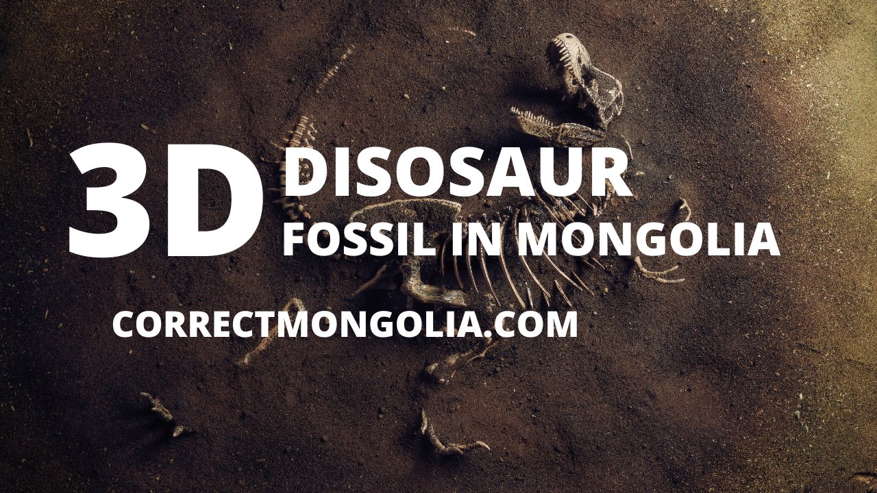 mongolian dinosaur fossil