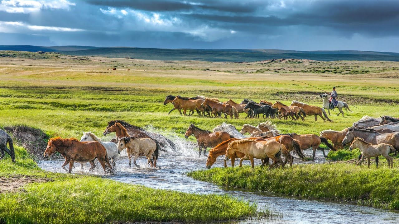 splendid landscapes in inner mon