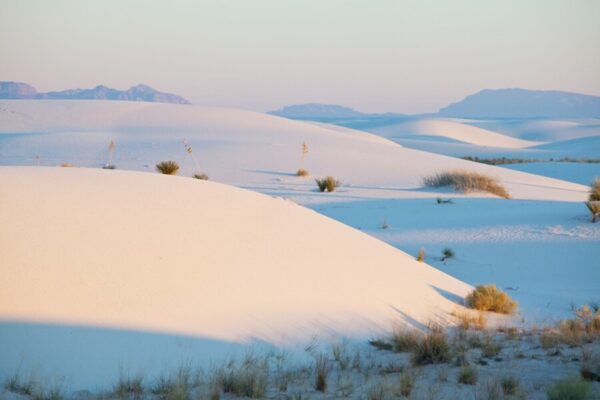 Gobi desert temperature range - Unveiling the Dynamic Tapestry of ...