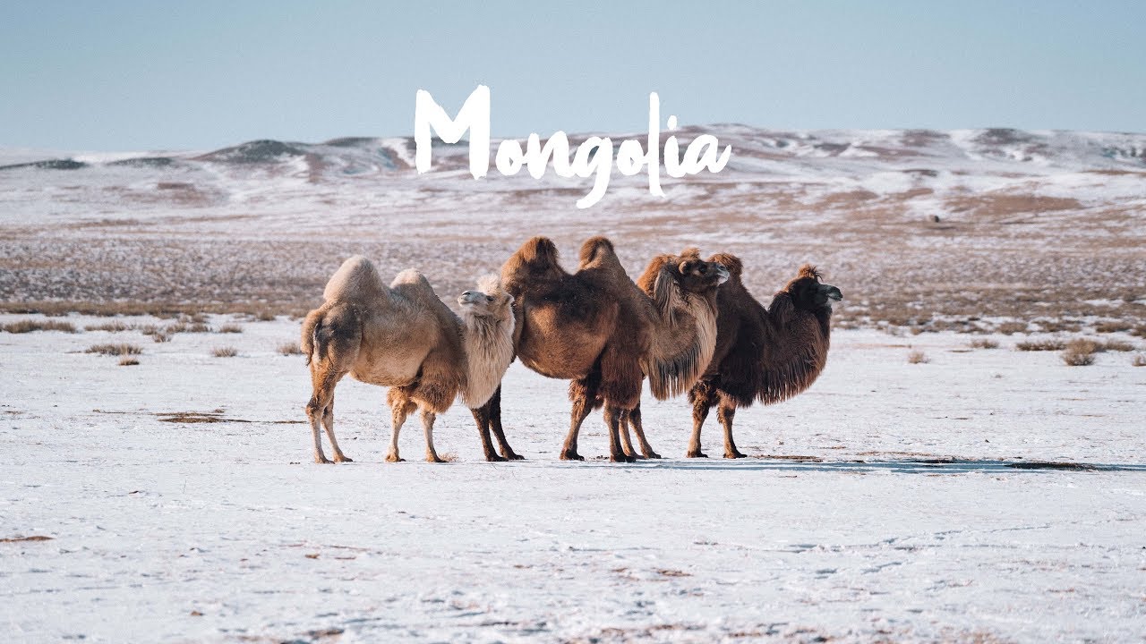 Winter Wonderland: Top 10 things to do Ulaanbaatar Mongolia 21 Winter in Mongolia