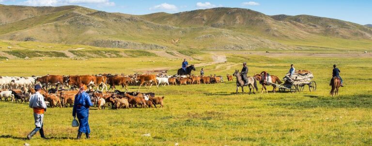 What is a nomadic lifestyle? – Discovering Mongolia’s Nomadic Lifestyle