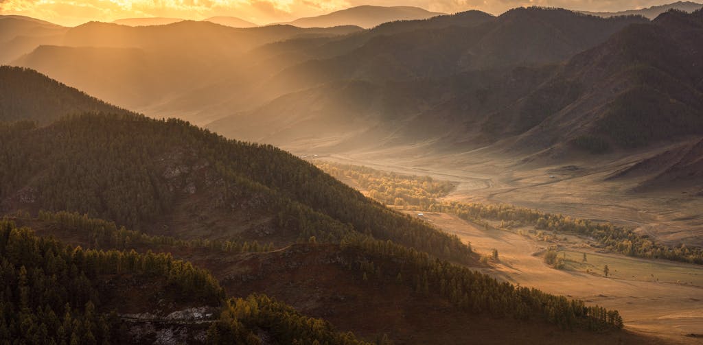 Mountains and Forest at Sunset in Altai 