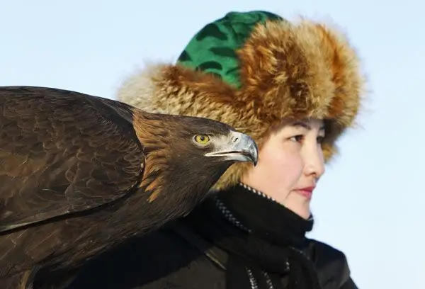 Golden Eagle Festival in Mongolia 11 women role in golden eagle festival