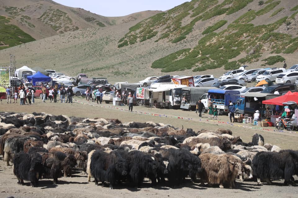 Yak festival Mongolia