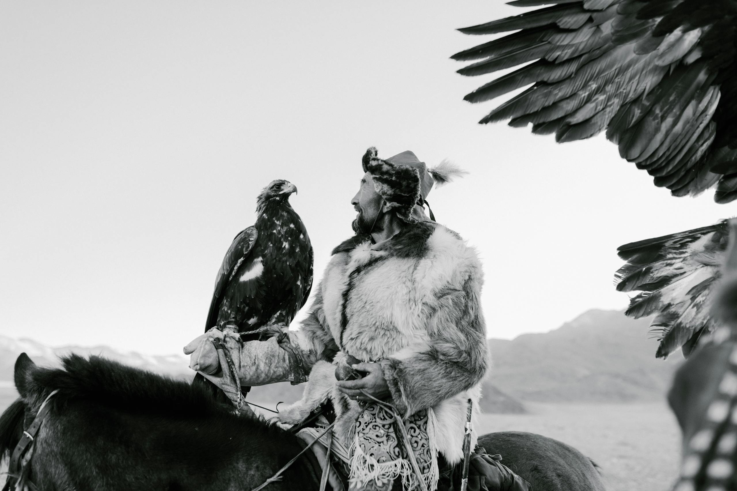 Grayscale Photo of Eagle Perching on the Man's Arm