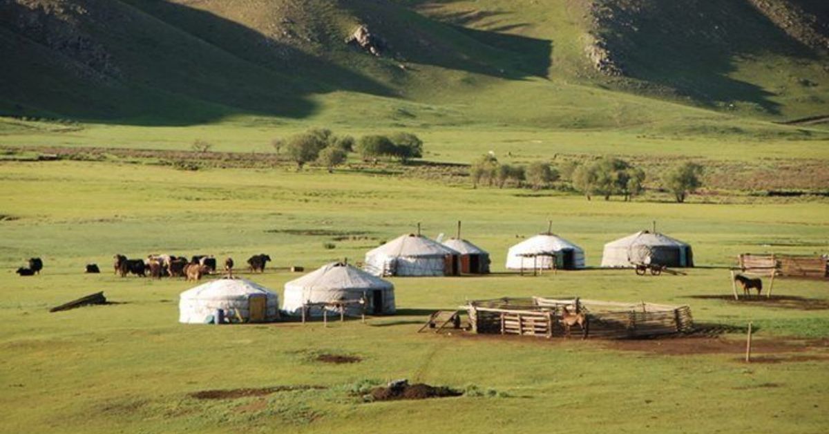 Mongolian steppe Nomad families