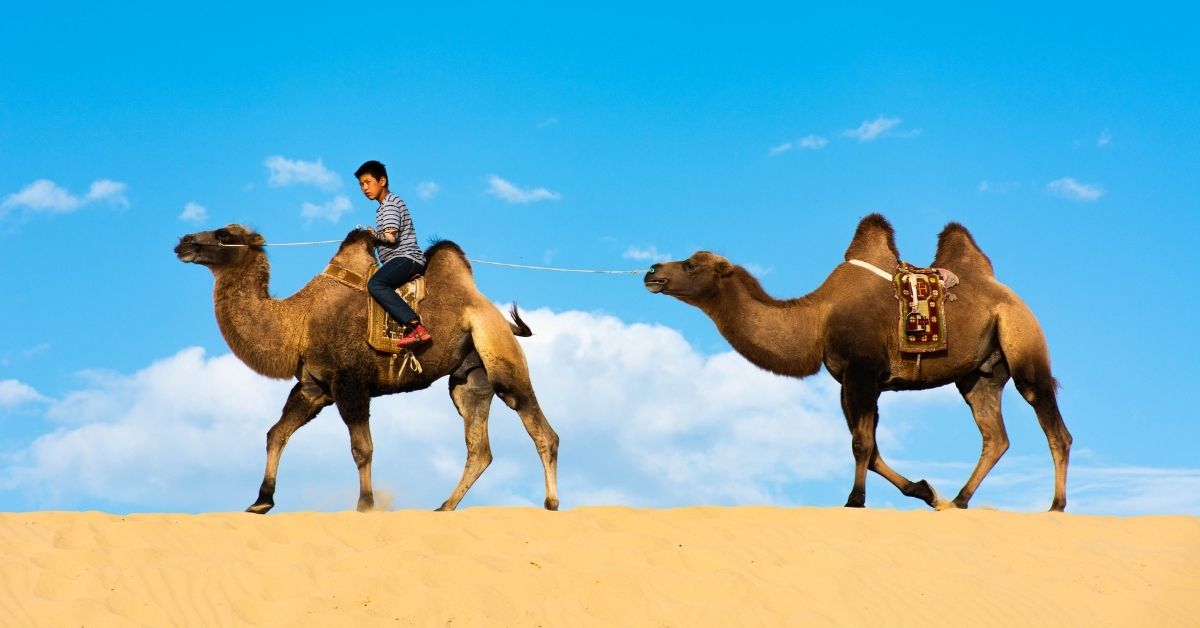 Gobi Desert Mongolia tour