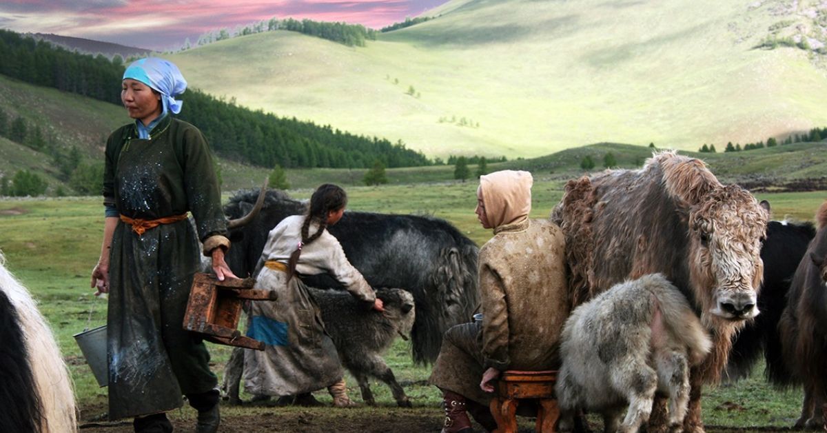 Mongolia custom, Nomad family Mongolian traditions, Custom of Mongolia