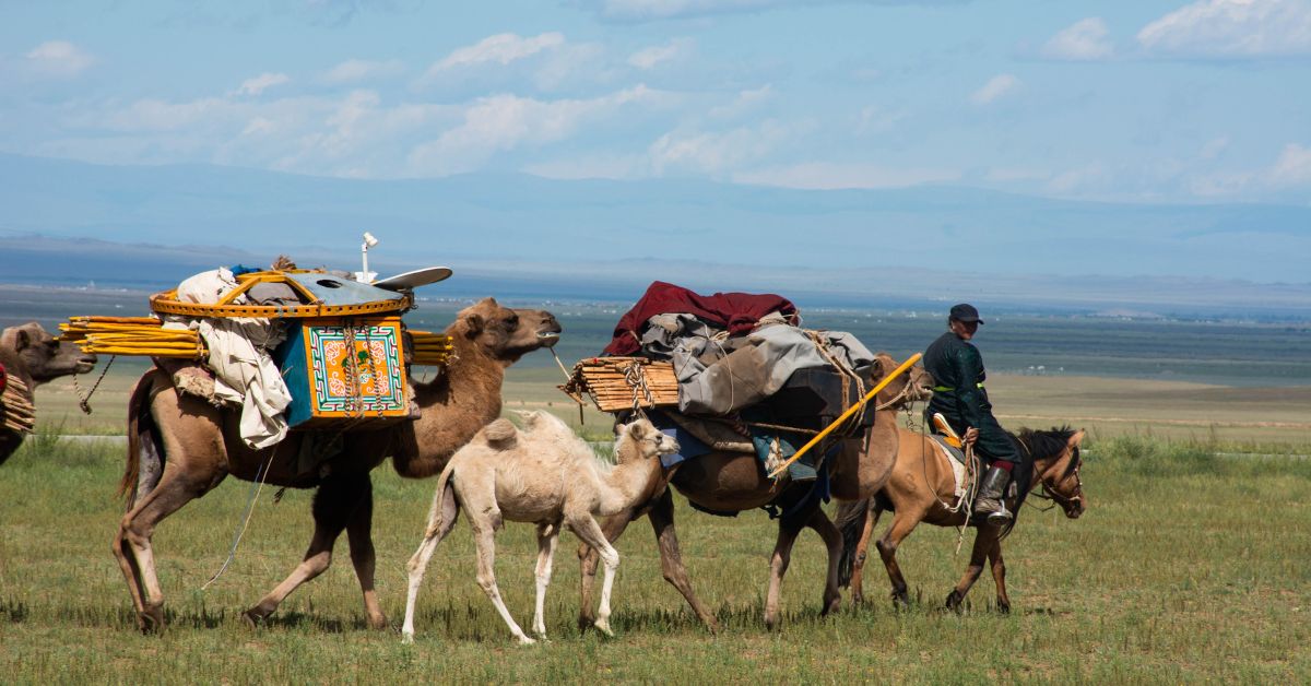 Packing and Transporting Your Yurt