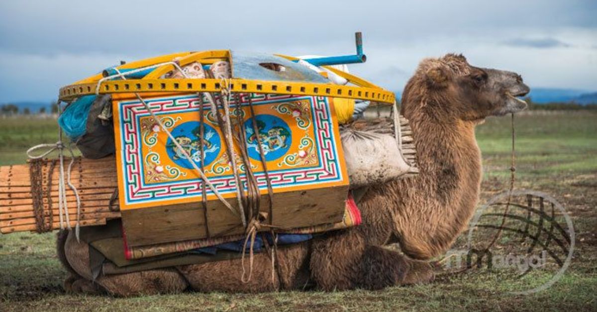 the yurt is designed to be easily assembled and disassembled