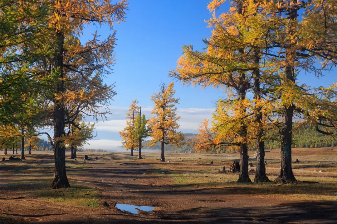 Autumn tour mongolia