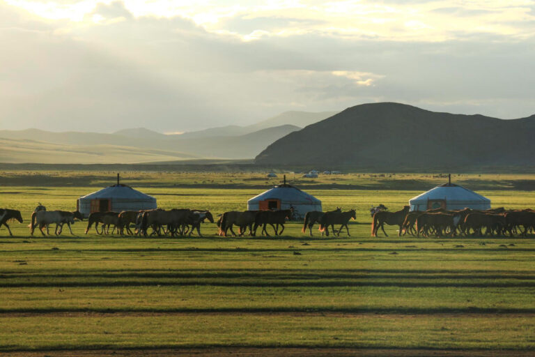 Mongolia steppe nomad life