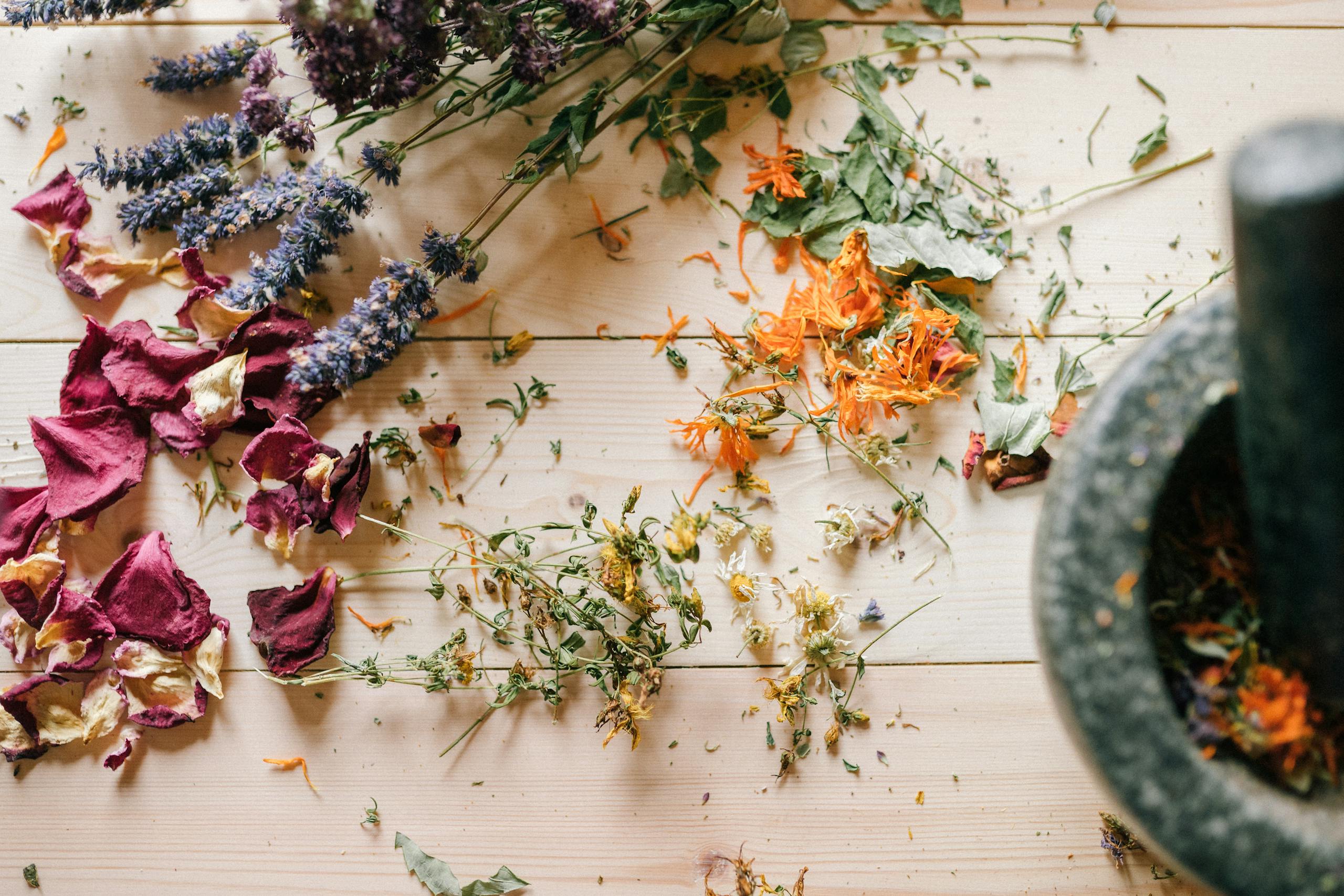 Mongolian Traditional Medicine 27 A beautiful still life of dried herbs and flowers accompanied by a mortar, perfect for natural healing themes.