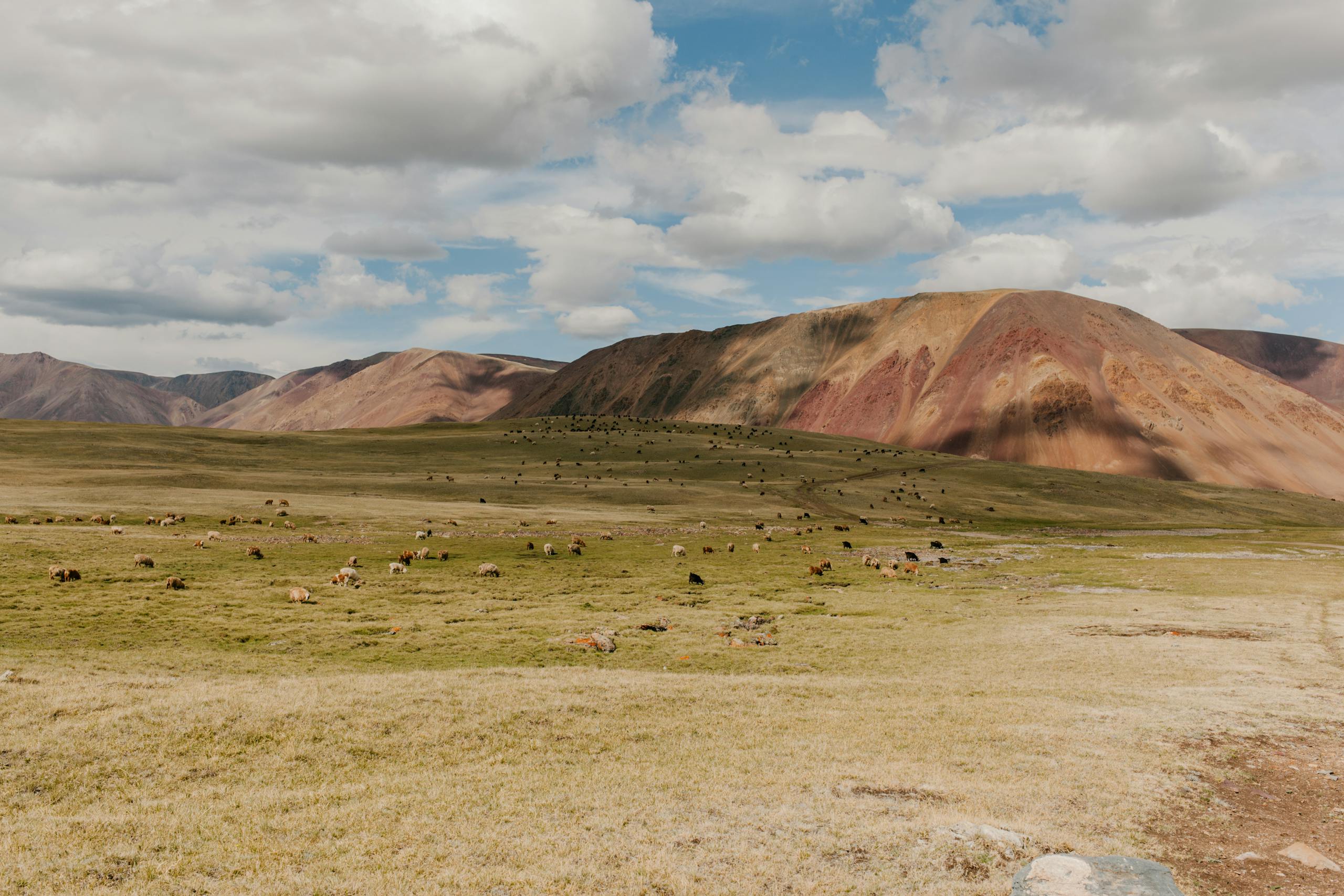 7 Significant Historical Sites of Mongolia 27 Scenery of vast grassy lawn covered with stones and located on rough hills bottom under blue sky
