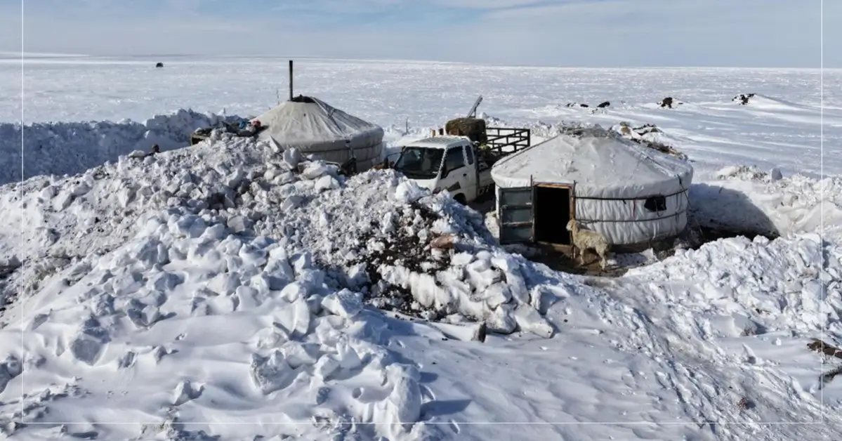Ger Durability: Impact of Climate Change 26 Cold Winters and Extreme Dzuds