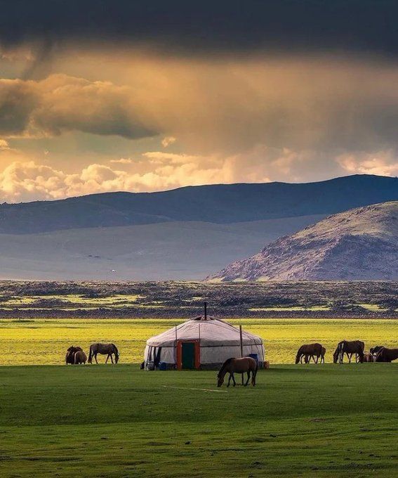 Off Grid Yurts for Sale